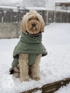 Hutabilder-26-01-055