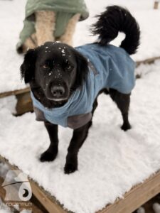 Hutabilder-26-01-056