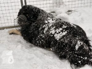 Hutabilder-26-01-060