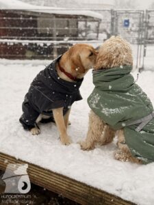 Hutabilder-26-01-061