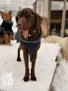 Hutabilder-26-01-063