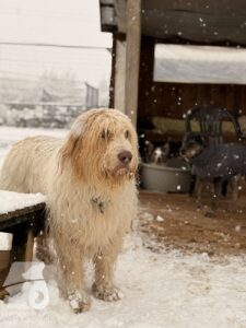 Hutabilder-26-01-064