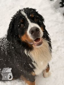 Hutabilder-26-01-065