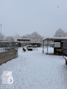 Hutabilder-26-01-067