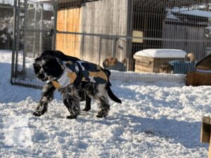 Hutabilder-26-01-073