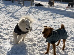 Hutabilder-26-01-075