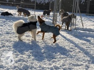 Hutabilder-26-01-077