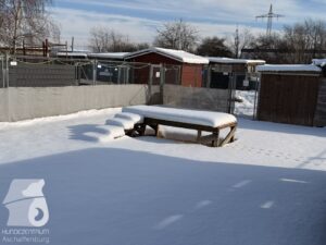 Hutabilder-26-01-079