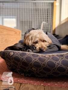 Hutabilder-26-01-080