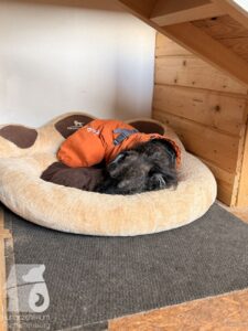 Hutabilder-26-01-081