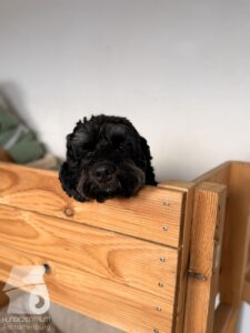 Hutabilder-26-01-082