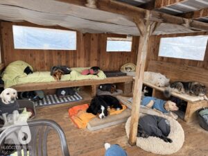 Hutabilder-26-01-083