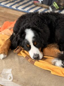 Hutabilder-26-01-085