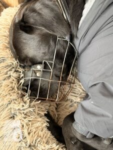 Hutabilder-26-01-086