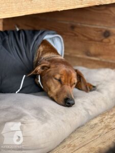 Hutabilder-26-01-089