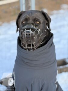 Hutabilder-26-01-093