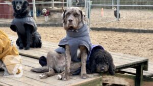 Hutabilder-26-01-094