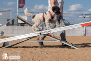 23-06-23-Agility-06