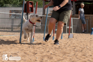 23-06-23-Agility-11