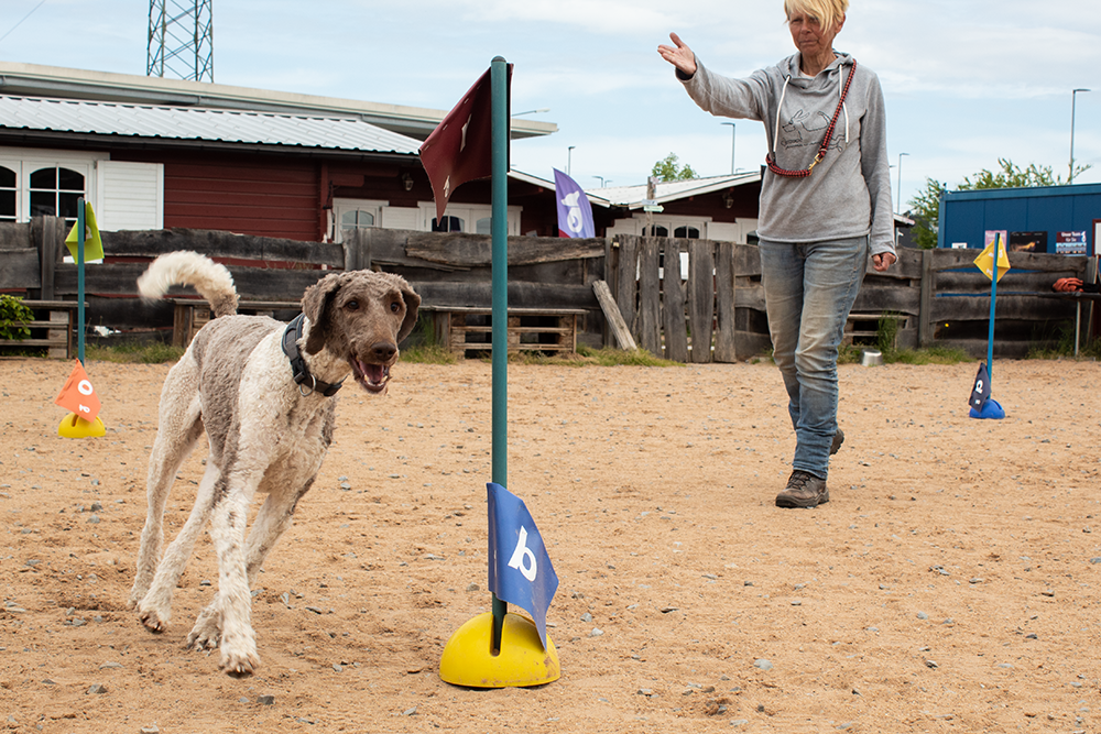 Mehr über den Artikel erfahren Free turning