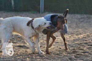 Hutabilder-26-03-w02-002