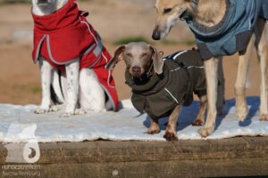 Hutabilder-26-03-w02-003