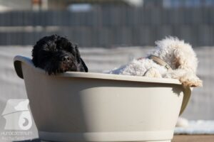 Hutabilder-26-03-w02-004