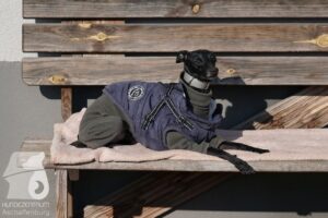 Hutabilder-26-03-w02-005