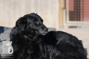 Hutabilder-26-03-w02-007