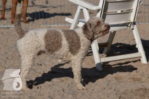 Hutabilder-26-03-w02-008