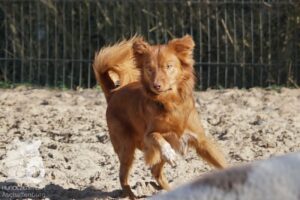 Hutabilder-26-03-w02-009