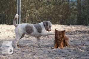 Hutabilder-26-03-w02-010