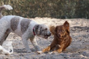 Hutabilder-26-03-w02-012