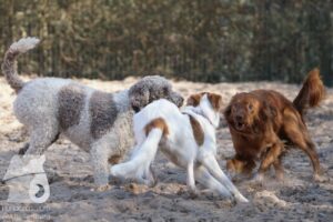 Hutabilder-26-03-w02-013