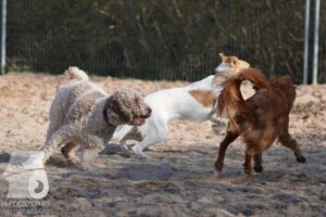 Hutabilder-26-03-w02-014