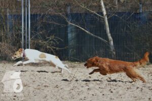 Hutabilder-26-03-w02-015