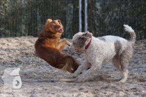 Hutabilder-26-03-w02-016