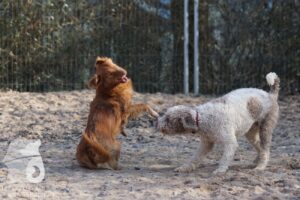 Hutabilder-26-03-w02-017