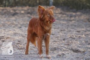 Hutabilder-26-03-w02-019