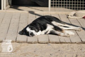 Hutabilder-26-03-w02-020