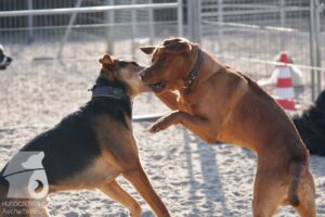 Hutabilder-26-03-w02-023