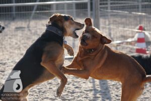 Hutabilder-26-03-w02-024