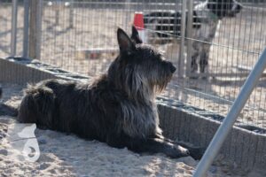 Hutabilder-26-03-w02-028