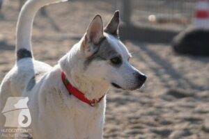 Hutabilder-26-03-w02-031