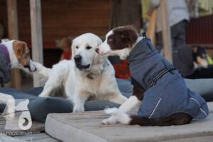 Hutabilder-26-03-w02-034