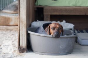 Hutabilder-26-03-w02-036