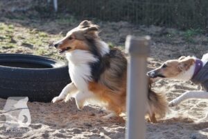 Hutabilder-26-03-w02-038