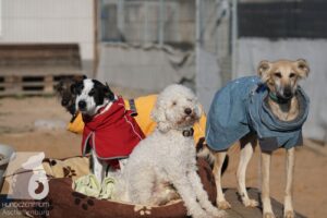 Hutabilder-26-03-w02-040