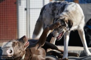 Hutabilder-26-03-w02-041