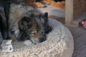 Hutabilder-26-03-w02-044